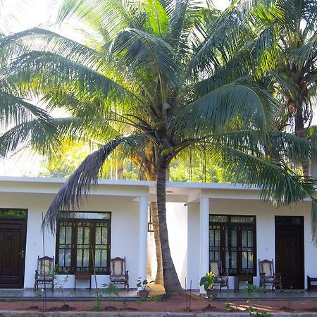 Shady Mango Villa Сигирия Екстериор снимка